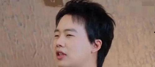 男星吃瓜爆料视频大全,视频大全背后的真相与笑料