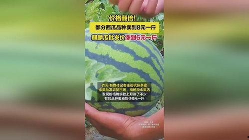 麒麟瓜批发今日价格行情,麒麟瓜批发价格行情实时更新
