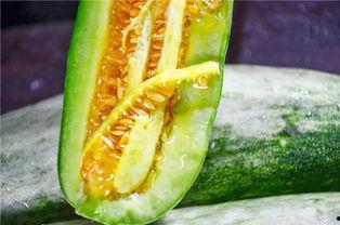 吃瓜网红爆料,娱乐圈惊天大瓜，揭秘明星背后惊人真相！