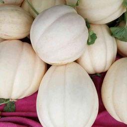 东方密瓜今日价格,价格行情一览”