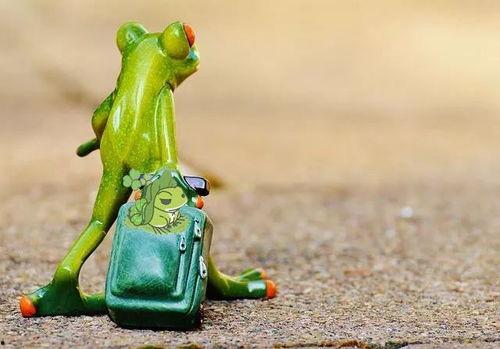 小青蛙吃瓜爆料,揭秘娱乐圈幕后真相