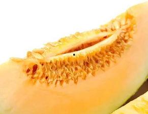 买了一个黑蜜瓜怎么吃才好吃,黑蜜瓜美味食法大揭秘