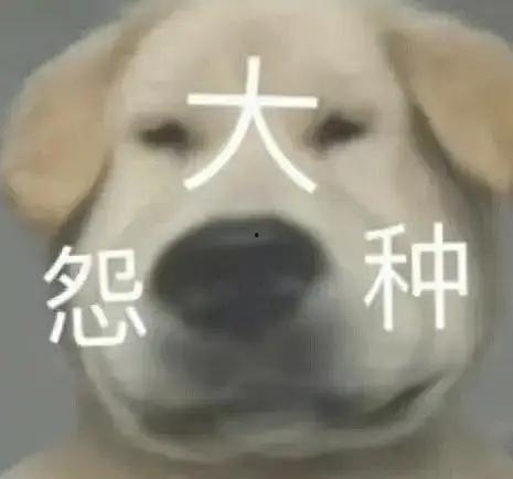 沙雕吃瓜爆料图片,娱乐圈最新爆料引热议