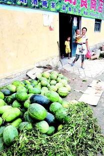 金乡今日瓜价,今日瓜价行情一览”