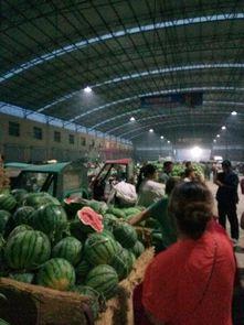 金乡今日瓜价,今日瓜价行情一览”