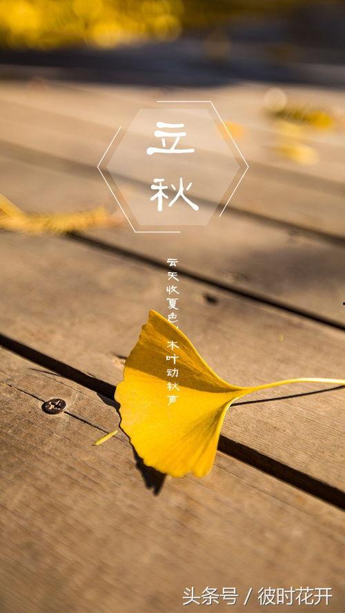 吃瓜收获今日快乐图片,捕捉今日快乐源泉