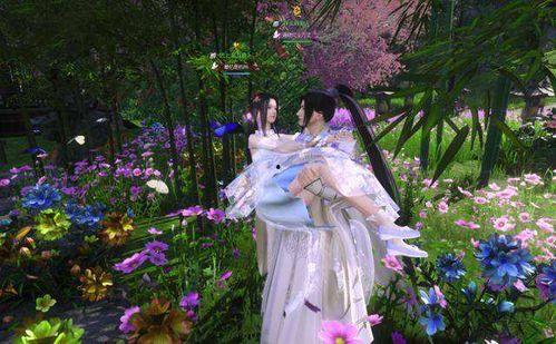 逆水寒茶壶吃瓜爆料,揭秘娱乐圈幕后真相