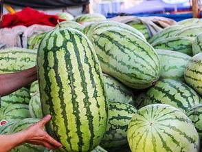 51吃瓜今日吃瓜爱可可,今日热点事件，爱可可带你一探究竟